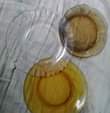 May be an image of indoor