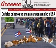 May be an image of 2 people, animal and text that says 'LA HABANA, 23 Granma CUBA DICIEMBRE DE 2020 ORGANO OFICIAL DEL COMITÉ CENTRAL DEL PARTIDO COMUNISTA DE CUBA MUNDO DEPORTES CULTURA PORTADA OPINIÃ“N CIENCIA SALUD ESP Curieles cubanos se unen a caravana rumbo a USA'