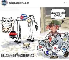 May be a meme of text that says 'CUBAN POR MUNDO cubanosdelmundo ¡BUENOS DÍAS CARIÃ‘O! FLORIDA CIMEX EL ORDEÃ‘AMIENTO ONAT'