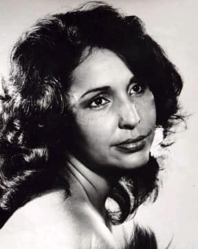 Diana Rosa Suárez. Nostalgia Cuba