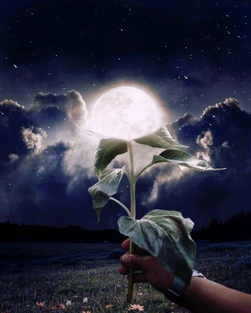 Buenas noches familia del corazón. - Nostalgia Cuba Buenas noches familia del corazón. - Nostalgia Cuba