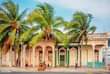 May be an image of 6 people, outdoors and palm trees